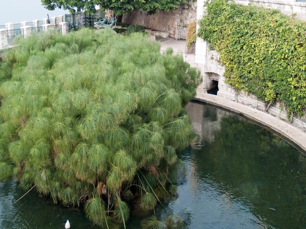 Ferienwohnung Rosa Di Ortigia Syrakus Exterior foto